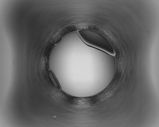 X0000116420229200912081207