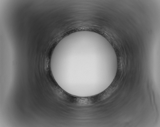 X0000116420230200912081206