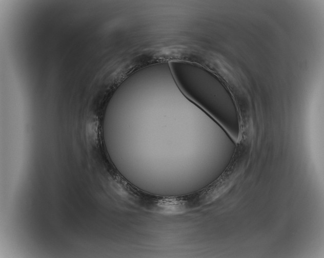 X0000116420231200912081206