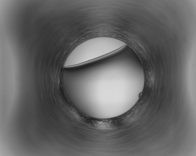 X0000116420232200912081206
