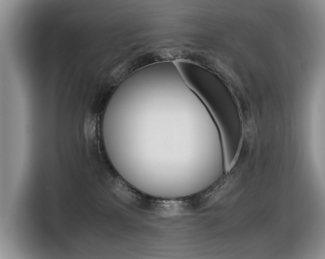 X0000116420233200912081206