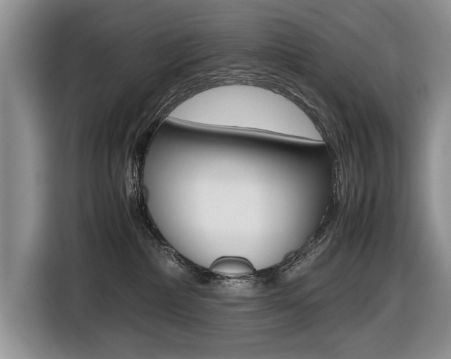X0000116420236200912081206