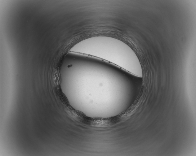 X0000116420237200912081206