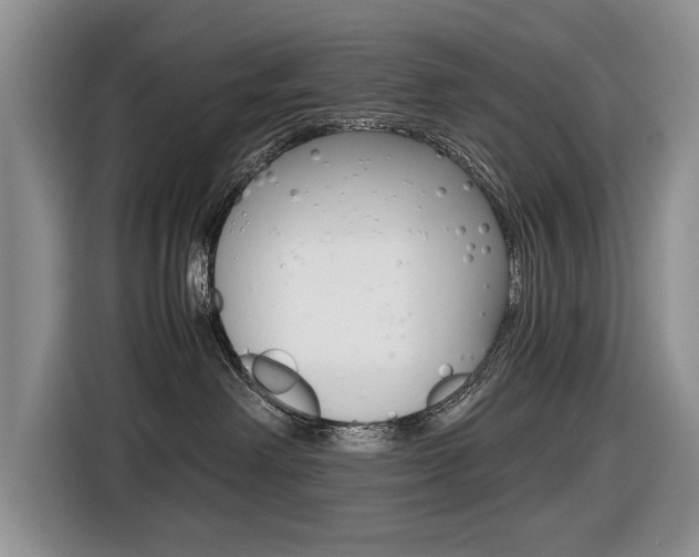 X0000116420238200912081206