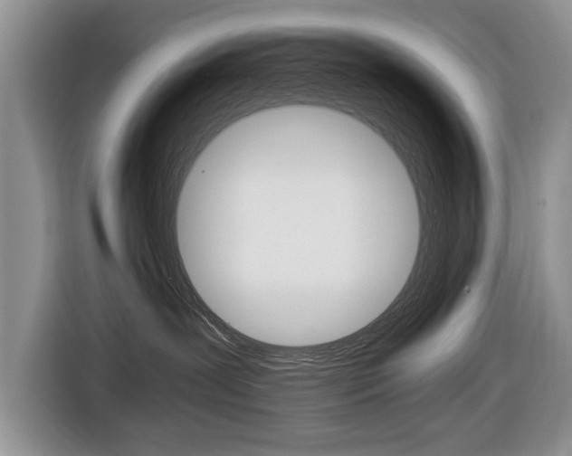 X0000116420239200912081206