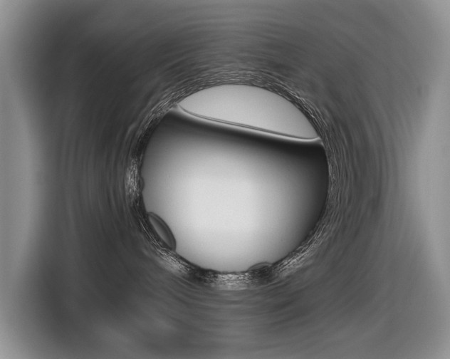 X0000116420240200912081206