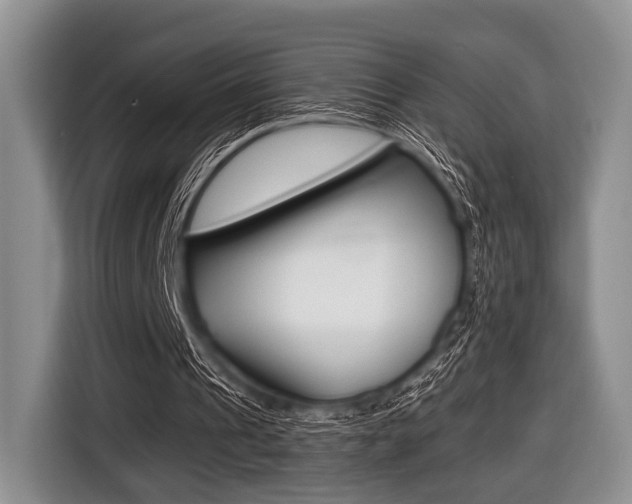 X0000116420241200912081206