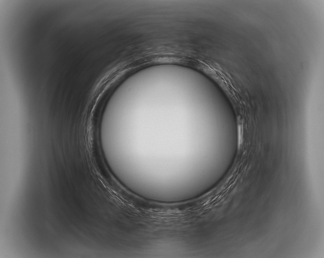 X0000116420243200912081206