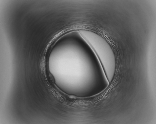 X0000116420244200912081206
