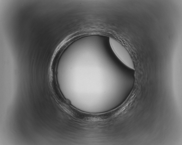 X0000116420246200912081206