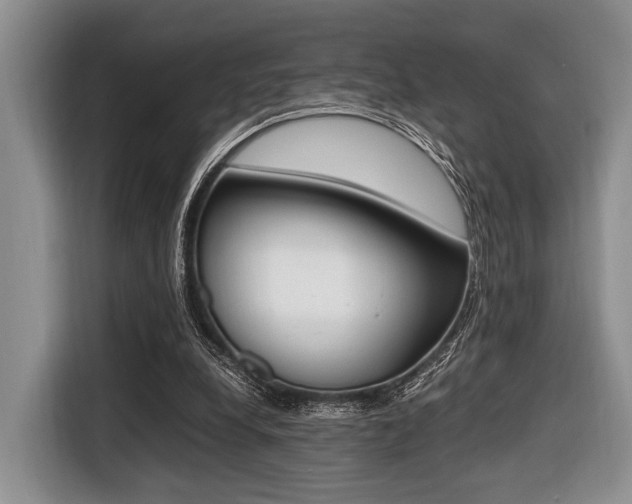 X0000116420248200912081206
