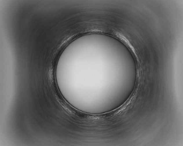 X0000116420249200912081206