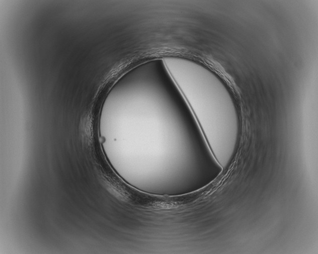X0000116420250200912081206