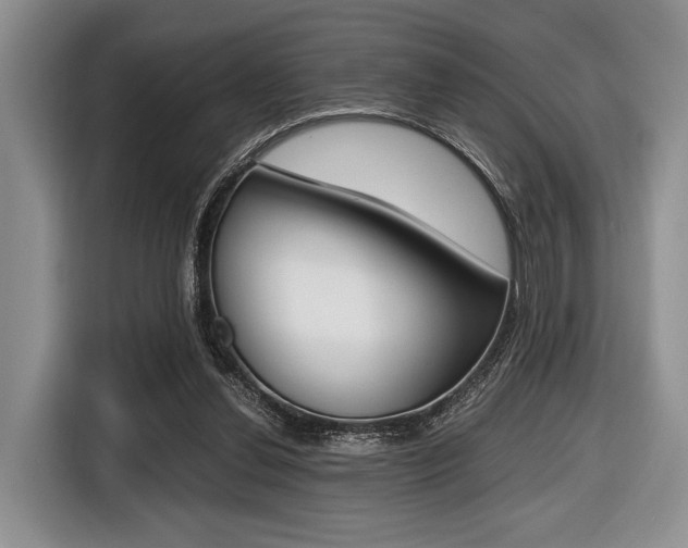 X0000116420252200912081206