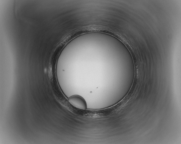 X0000116420254200912081206