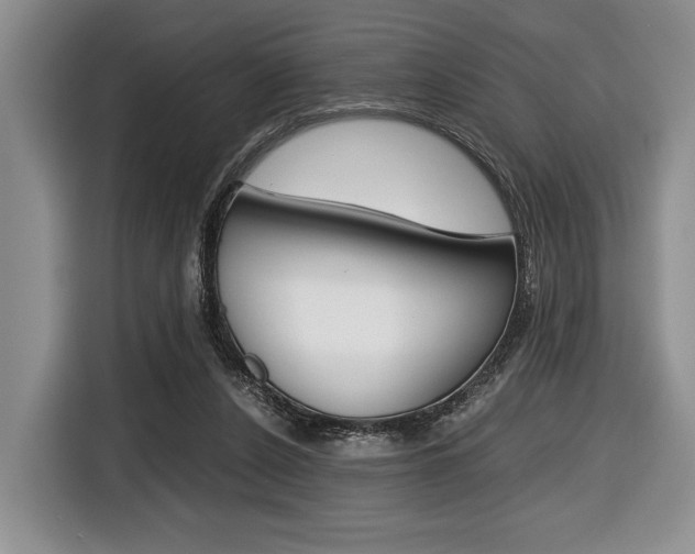 X0000116420256200912081206