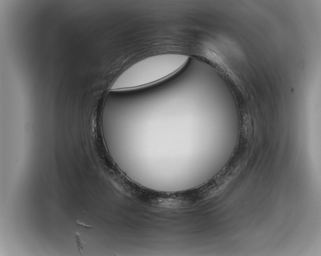 X0000116420259200912081206