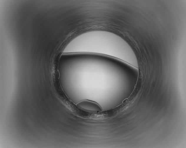 X0000116420260200912081206
