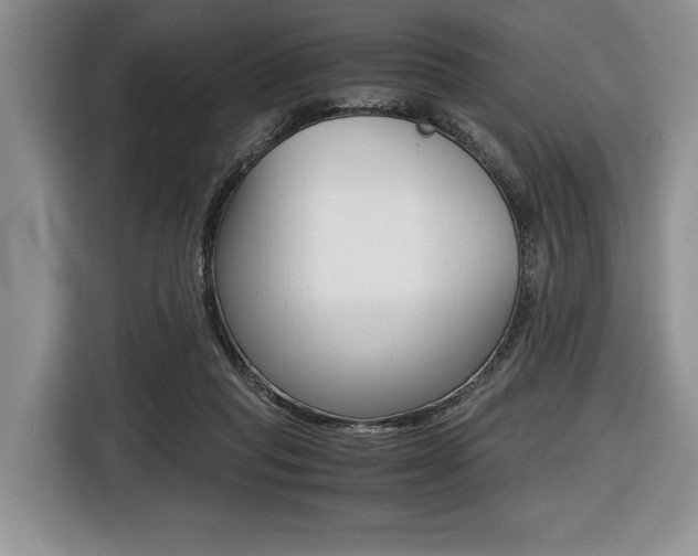 X0000116420261200912081206