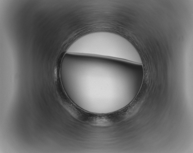 X0000116420262200912081206