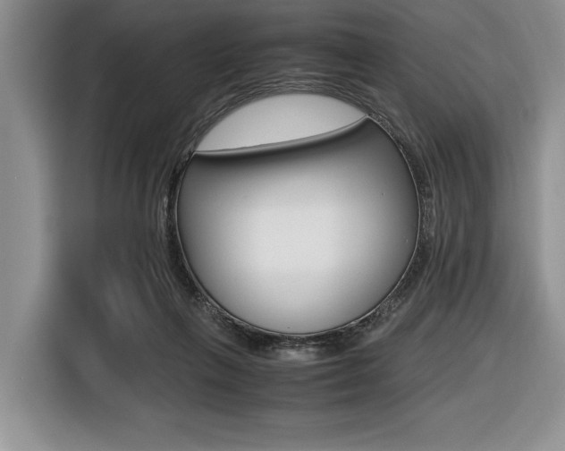 X0000116420263200912081206