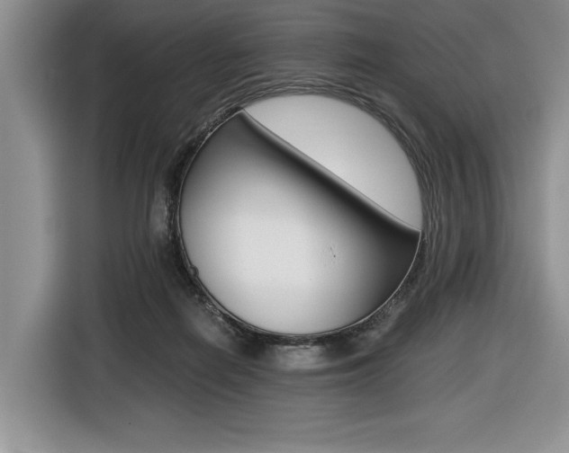X0000116420266200912081206