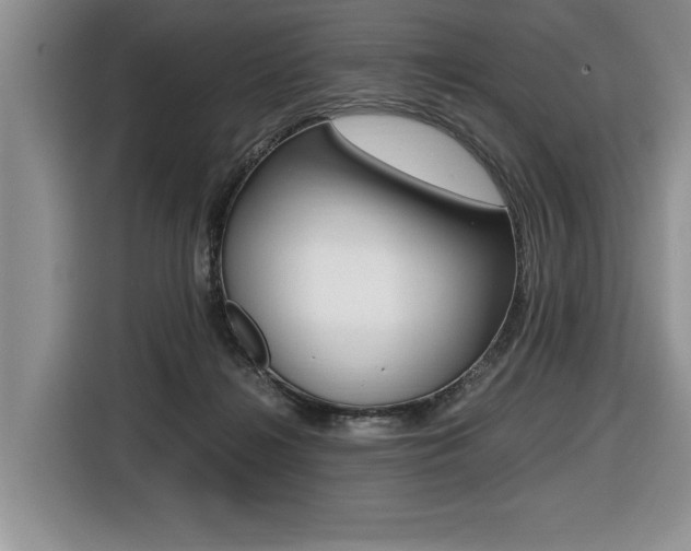 X0000116420268200912081206
