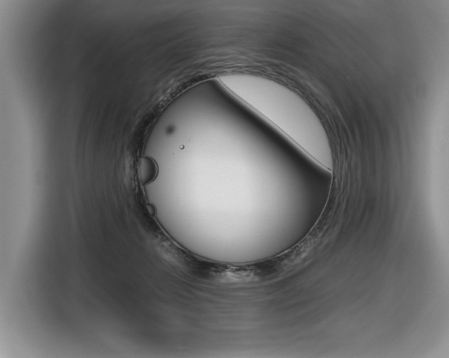 X0000116420270200912081206