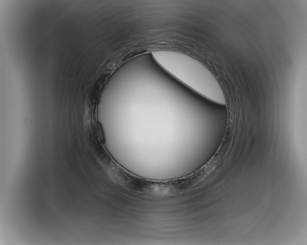 X0000116420272200912081206