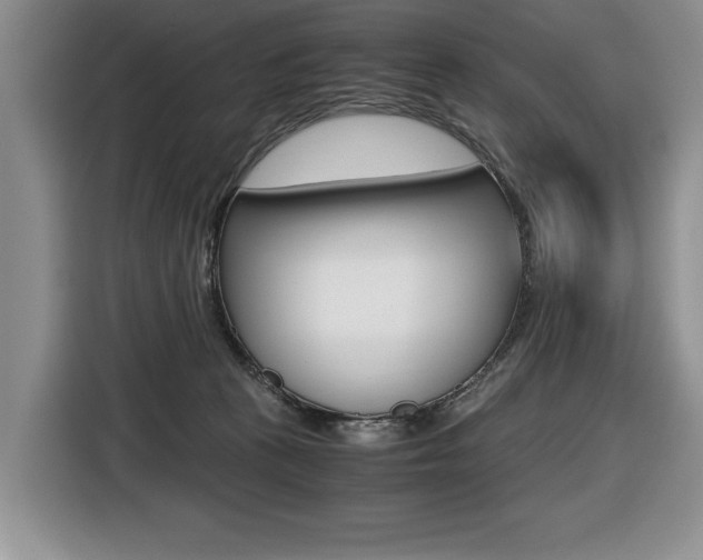 X0000116420273200912081206