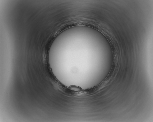 X0000116420274200912081206