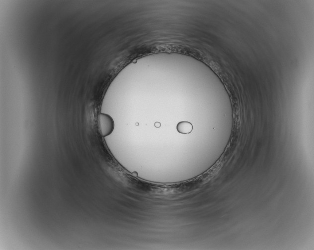 X0000116420276200912081206