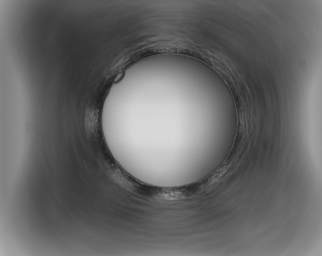 X0000116420278200912081206