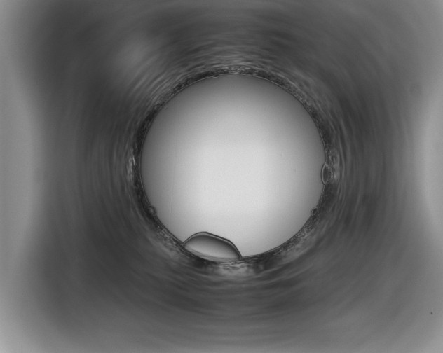 X0000116420279200912081206
