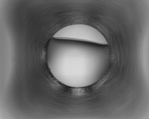 X0000116420281200912081206