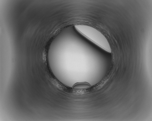 X0000116420282200912081206