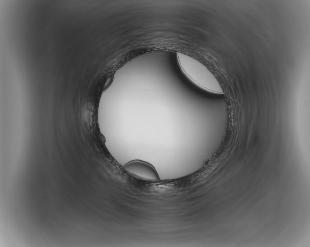 X0000116420283200912081206