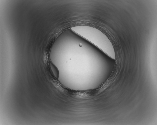 X0000116420284200912081206