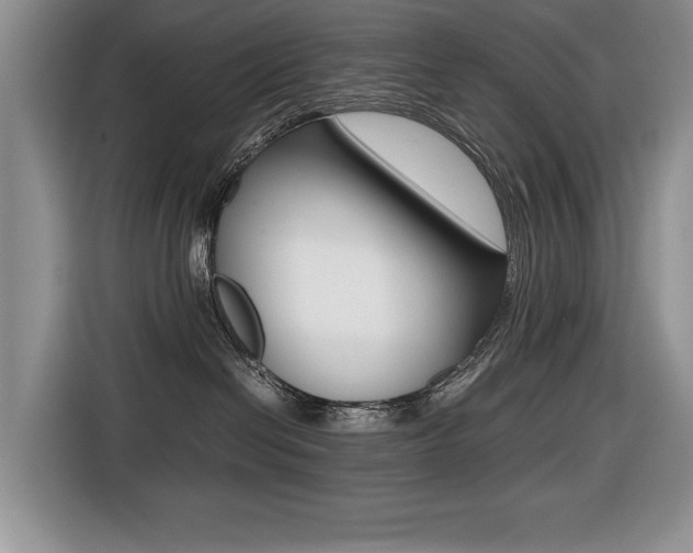 X0000116420286200912081206