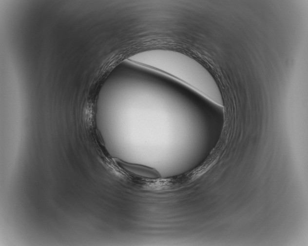 X0000116420288200912081206