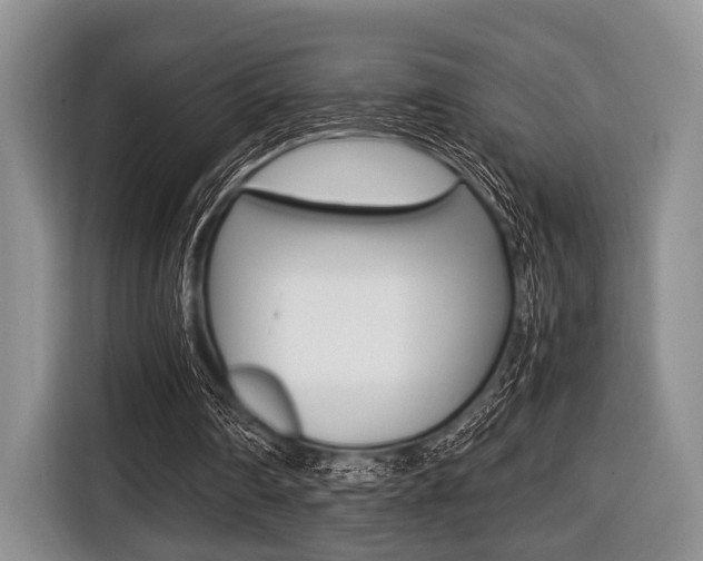 X0000116420290200912081206
