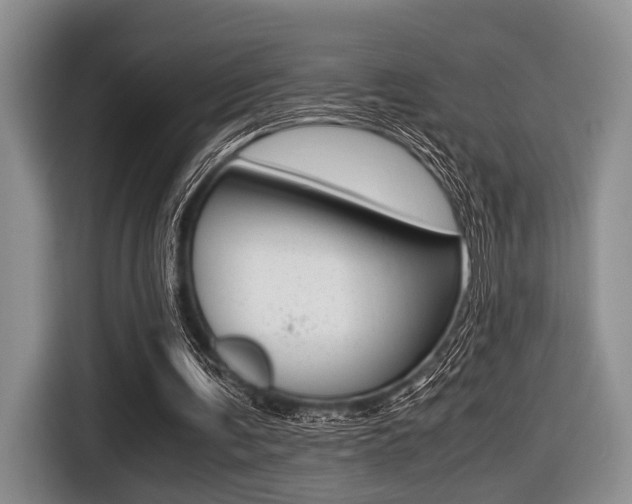 X0000116420291200912081206