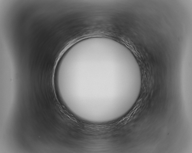 X0000116420292200912081206