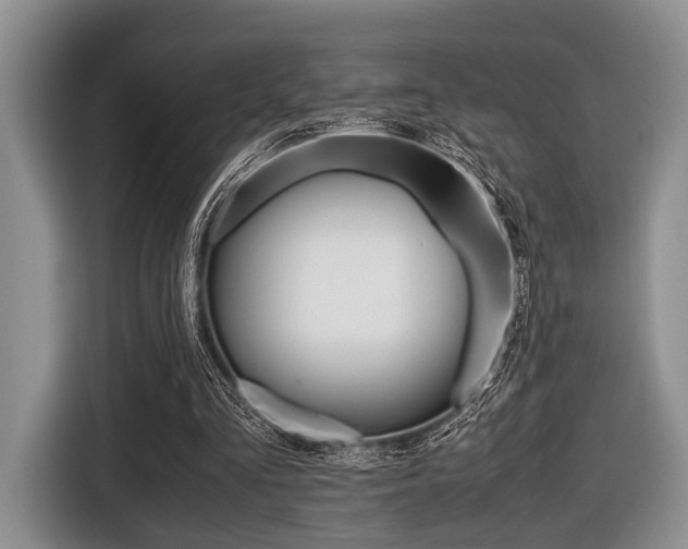 X0000116420293200912081206