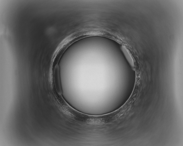 X0000116420296200912081206