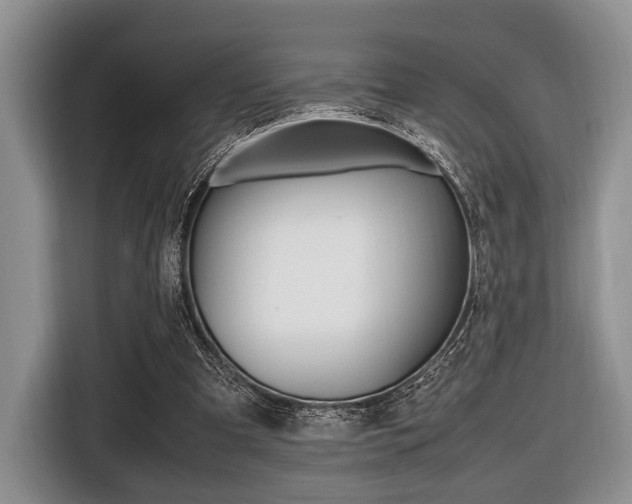 X0000116420297200912081206