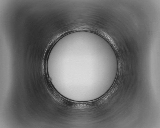 X0000116420298200912081206