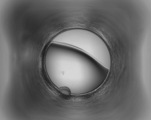 X0000116420299200912081206