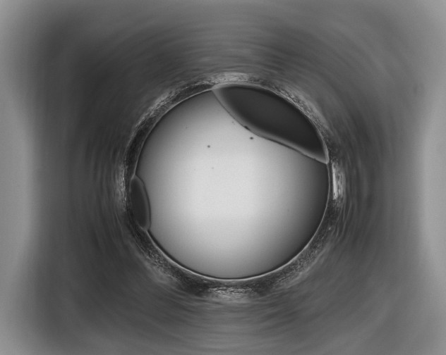 X0000116420300200912081206