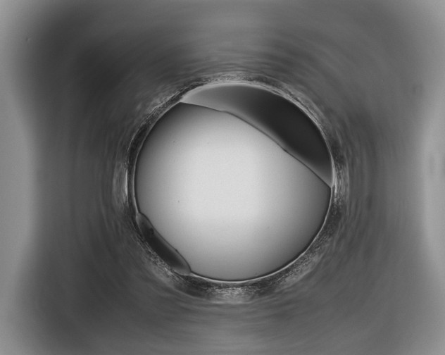 X0000116420301200912081205